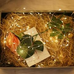 10 Metre Peri Led Gün Işığı Oda Aydınlatma