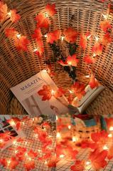 20'li Sonbahar Konseptli Dekoratif Yaprak Şerit Led Işık Günışığı