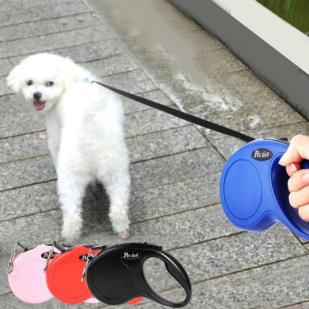 5 Metre Pet Dog Makaralı Tasma Güçlü Dayanıklı Köpek Gezdirme Tasması Otomatik Kayış