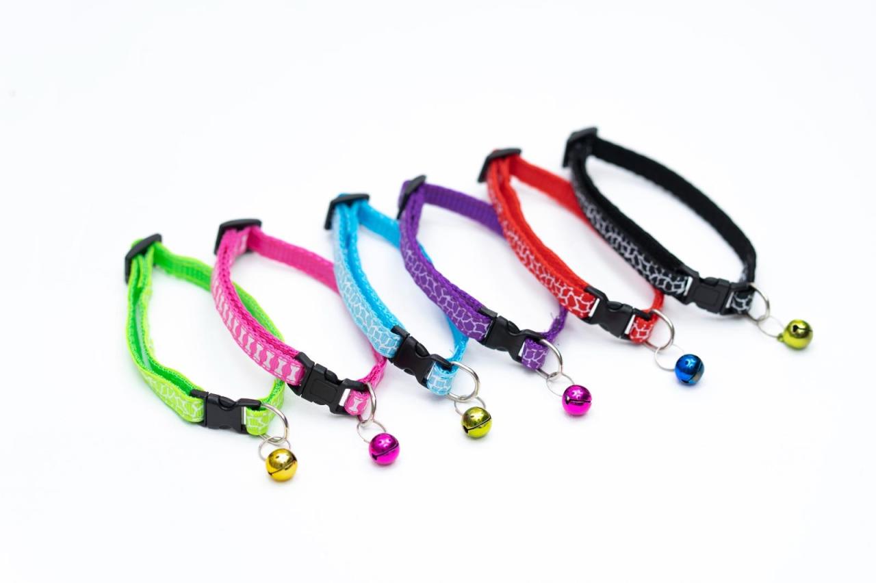 Kedi Ve Küçük Irk Köpek Boyun Tasması Ayarlanabilir Renkli