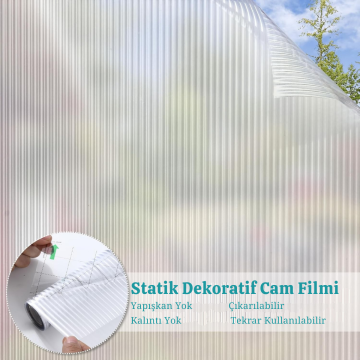TechnoSmart 60cmx100cm Buzlu Desenli Cam Kaplama Filmi Statik Duşa Kabin Ofis Dekorasyon Folyo