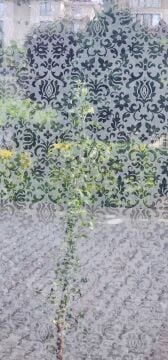 Technosmart 45x100cm Desenli Statik Cam Filmi Kaplama | Mutfak Ofis Banyo