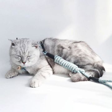 TechnoSmart Medium 3-6 Kg Kedi Göğüs Tasması Ve Gezdirme Seti Çiçekli Model Ayarlanabilir Mavi