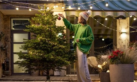 Dekoratif Aydınlatmalar